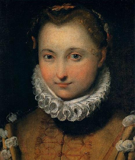 Federico Barocci Portrait of a Young Woman oil painting image